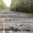 На разбитую дорогу от Середки до Ямм жалуются жители региона - Pln-Pskov.Ru