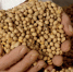 Минсельхоз одобрил ввоз в Россию продуктов с ГМО - BusinessPskov.Ru