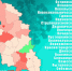 Число выздоровевших от коронавируса за сутки в Псковской области превысило количество заболевших - Псковская правда