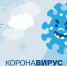 В Псковской области количество выздоровевших после коронавируса превысило количество заболевших - InformPskov.Ru