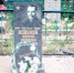 16-75g.jpeg - Избирательная комиссия