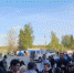 Сотая группа волонтеров зарегистрирована на поисках трехлетней девочки в Псковском районе - Pln-Pskov.Ru