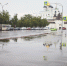 Фото: Дарья Хваткова. - InformPskov.Ru