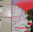 Фото: Наталия Стешенок. - InformPskov.Ru