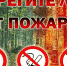 Соблюдайте требования пожарной безопасности в лесах - МЧС Псковской области