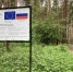 Строительство парка «Без границ» началось в Великих Луках. ФОТО - Pln-Pskov.Ru