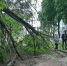 Здесь и далее фото Марии Соколовой - InformPskov.Ru