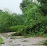 Фото: ПАИ. - InformPskov.Ru
