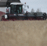 Псковская область увеличила несырьевой экспорт - InformPskov.Ru