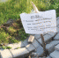 Фото ПАИ - InformPskov.Ru