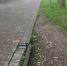 В Летнем саду рушится плитка. ФОТО - BusinessPskov.Ru