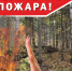 Соблюдайте требования пожарной  безопасности в  лесах! - МЧС Псковской области