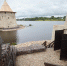 Устье реки Псковы. Фото Дарьи Хватковой - InformPskov.Ru