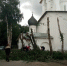 Фотофакт: Молодые деревья выпилили у церкви Николы со Усохи в Пскове - Pln-Pskov.Ru