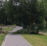 Фотофакт: Последствия вчерашнего ветра в дендропарке - Pln-Pskov.Ru