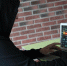 ЦБ раскрыл новую схему мошенничества в интернете - BusinessPskov.Ru