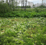 Фото ПАИ. - InformPskov.Ru