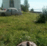 Поклонный крест в память о воинах Талабского полка сломан на острове Залита - Pln-Pskov.Ru