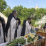 Фото пресс-службы Псковской епархии - InformPskov.Ru