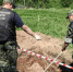 Возбуждено уголовное дело о геноциде по факту обнаружения массового захоронения в Моглино. ВИДЕО - Pln-Pskov.Ru