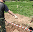 СК возбудил дело о геноциде после обнаружения массового захоронения людей под Псковом - FlashNord.Com