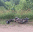 Фото ОГИБДД. - InformPskov.Ru