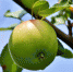 Фото с сайта pixabay.com. - InformPskov.Ru