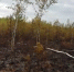 Фото ПАИ. - InformPskov.Ru