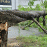 Фото: vl.ru. - InformPskov.Ru