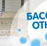 Псковский аквапарк открылся в формате бассейна и банного комплекса - Pln-Pskov.Ru