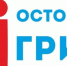 Грипп — острая респираторная вирусная инфекция. Грипп и ОРВИ составляют 95% всей инфекционной заболеваемости - Псковский район