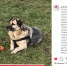 Фото: Instagram Галины Паскевич. - InformPskov.Ru