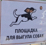В Пскове зарегистрированы пять официальных площадок для выгула собак - Pln-Pskov.Ru