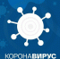 127 тысяч коек используется для лечения коронавируса в России - InformPskov.Ru