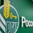 Агропомощь Псковской области: от льготных кредитов Россельхозбанка к продовольственной безопасности страны - InformPskov.Ru