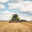 Фото:Pixabay - InformPskov.Ru