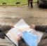 В Великих Луках во дворе по проспекту Гагарина д.13/17 появился новый асфальт - Единая Россия