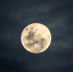 Фото: pixabay. - InformPskov.Ru