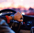 Фото: pixabay - InformPskov.Ru