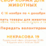 Псковичи могут принять участие в акции по сбору корма для животных - BusinessPskov.Ru