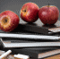 Фото: pixabay - InformPskov.Ru
