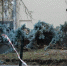 27357 - Газета Псковская губерния