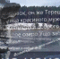 Реплика Донецкого: Пса им жалко, а человека - нет - Pln-Pskov.Ru