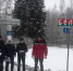 Шестеро иностранцев незаконно пересекли границу в Псковской области - Pln-Pskov.Ru