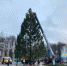 Главную новогоднюю ель установили в Великих Луках. ВИДЕО - Pln-Pskov.Ru