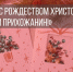 Пожилых псковичей поздравят волонтеры Рождественского Молодежного фестиваля искусств - Pln-Pskov.Ru
