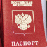 Посреднические услуги по получению паспорта незаконны. Фото rossaprimavera.ru - InformPskov.Ru