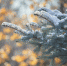 Фото: ПАИ. - InformPskov.Ru