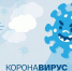 В Псковской области нет школ или детских садов, закрытых на карантин - InformPskov.Ru