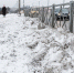 Льдом по голове - Pln-Pskov.Ru